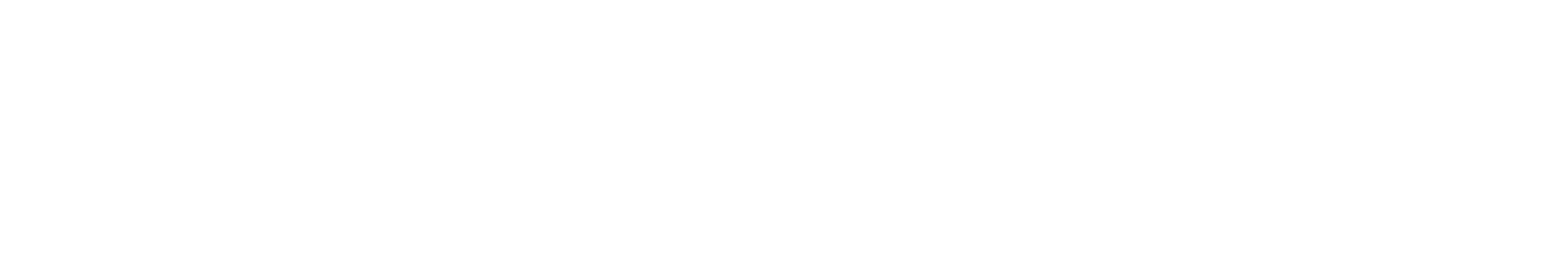 Logo OpServices em Branco